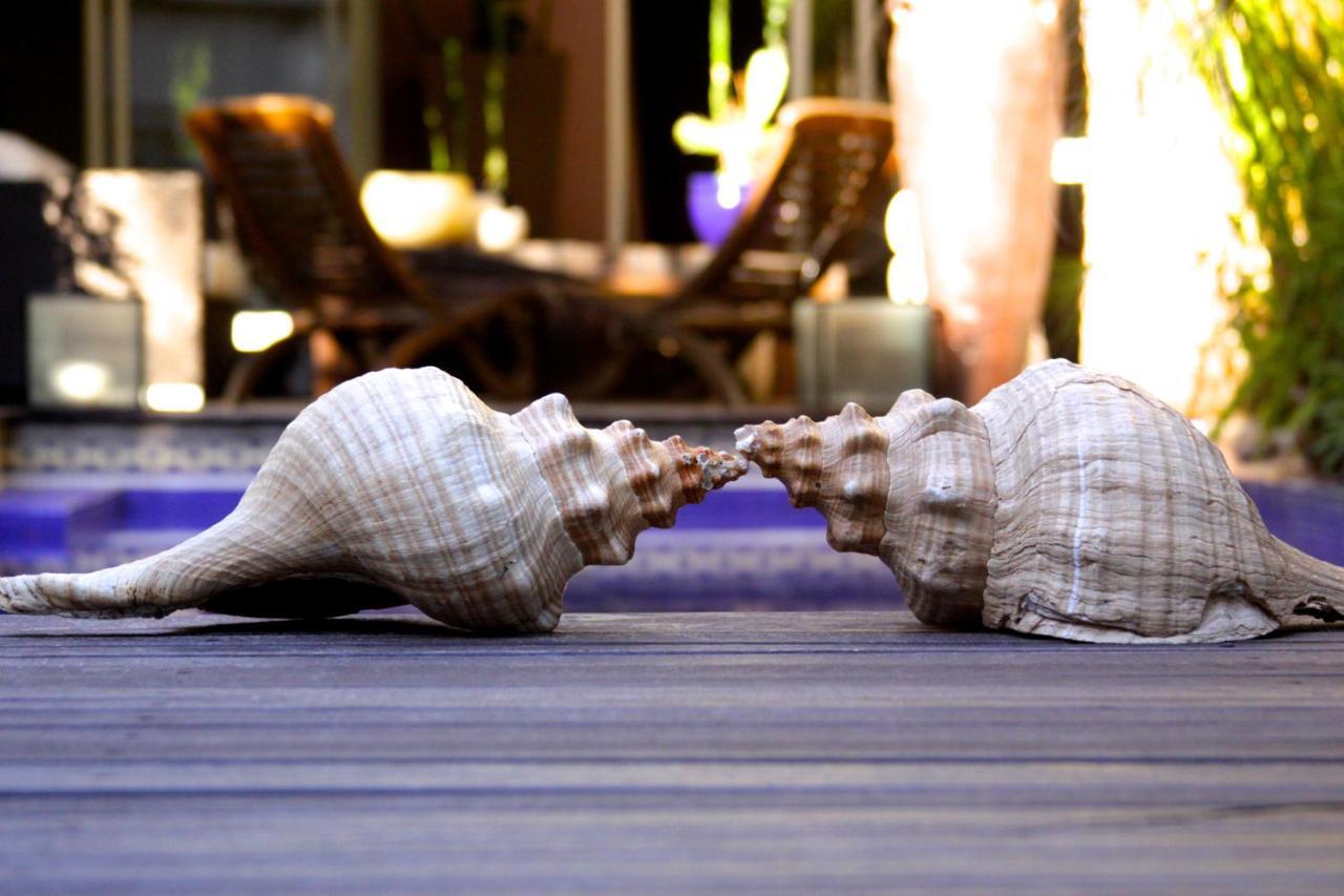 Cool Clima Bed & Breakfast Olivos Dış mekan fotoğraf