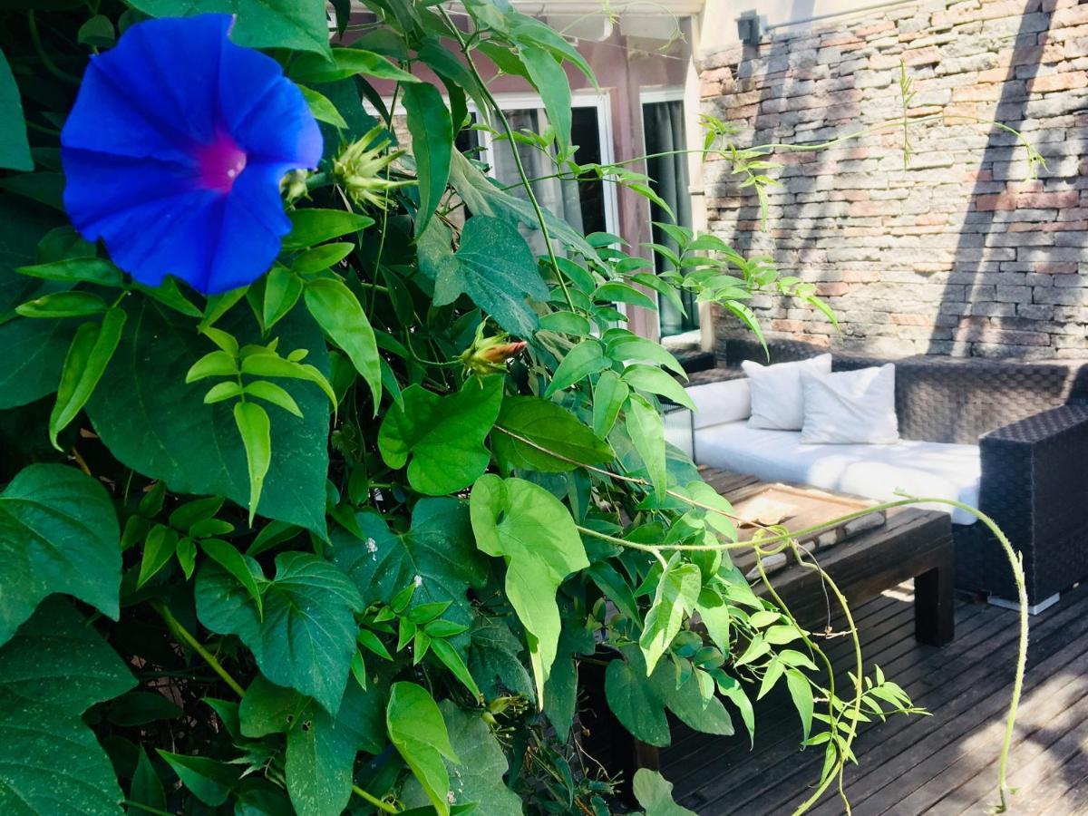 Cool Clima Bed & Breakfast Olivos Dış mekan fotoğraf