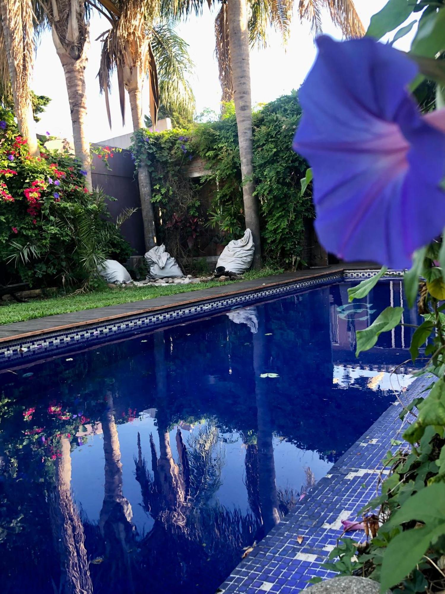Cool Clima Bed & Breakfast Olivos Dış mekan fotoğraf