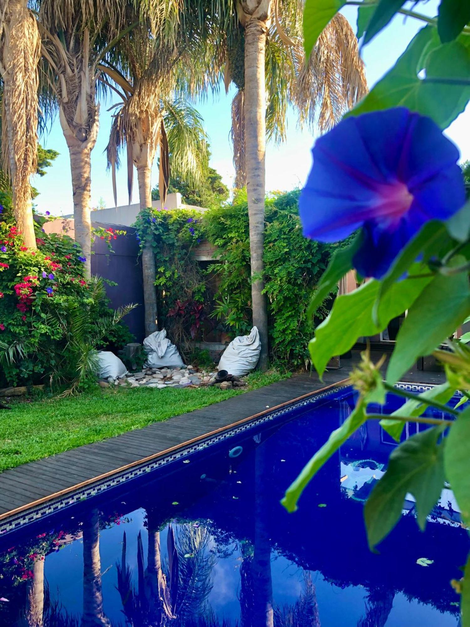 Cool Clima Bed & Breakfast Olivos Dış mekan fotoğraf